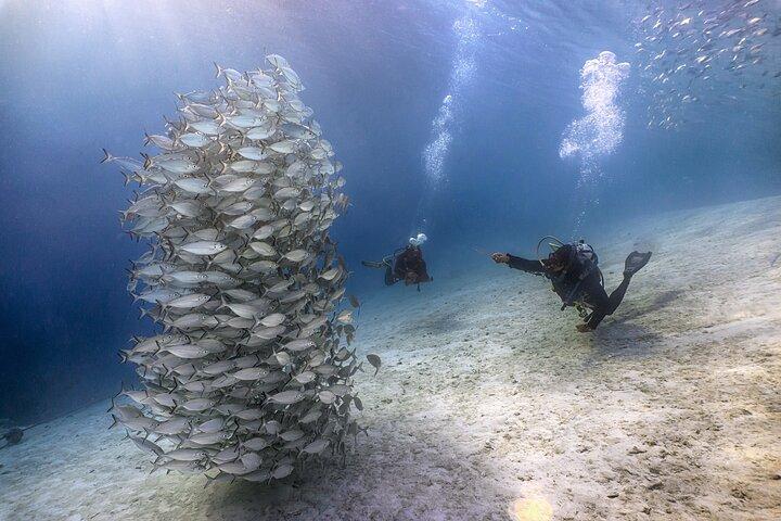 (2 Dives) Discover Scuba Diving Kota Kinabalu