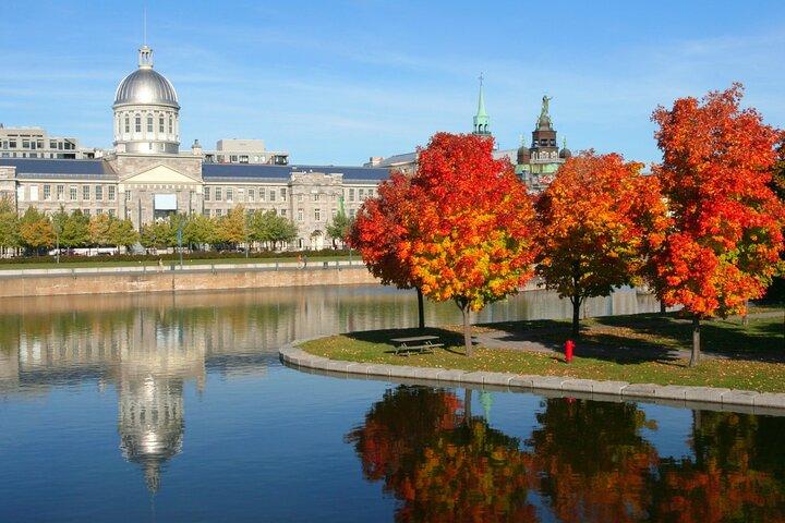 Montreal Scavenger Hunt & Highlights Self-Guided Walking Tour