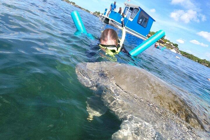 Small Group Manatee Snorkel Tour with In-Water Guide and Photographer