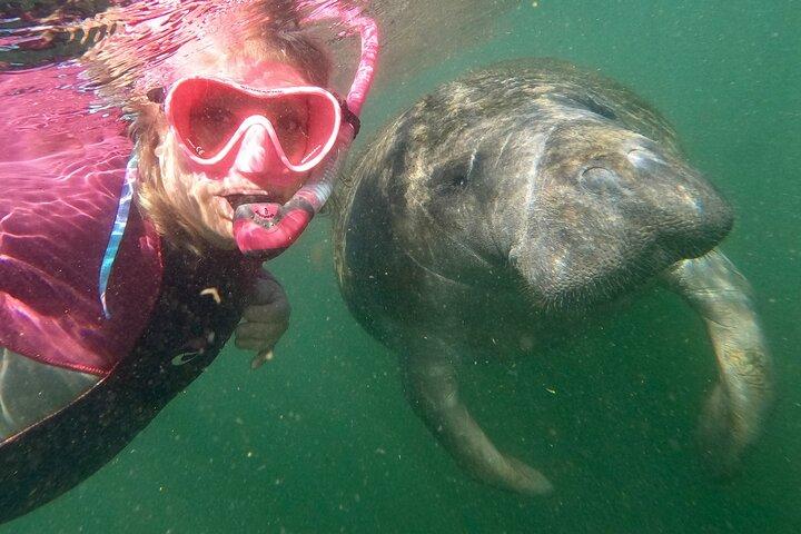 Small Group Manatee Snorkel Tour with In-Water Guide and Photographer