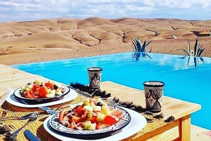 Lunch and Camels Trek in Desert Agafay Day Trip from Marrakech