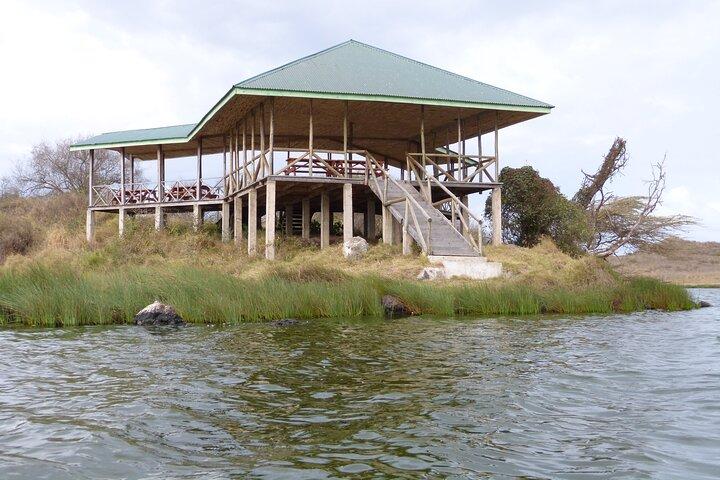 Unbelievable Trip To The Great Migration And River Crossing