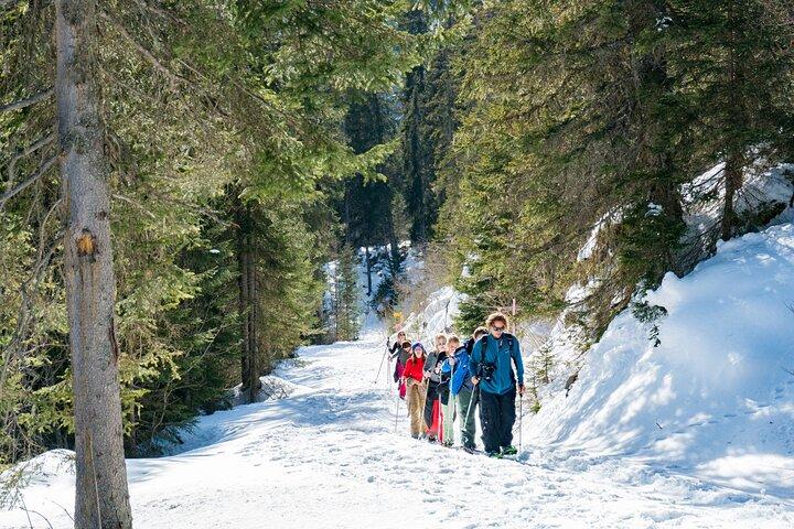 Snowshoe Tour Wetterhorn Grindelwald
