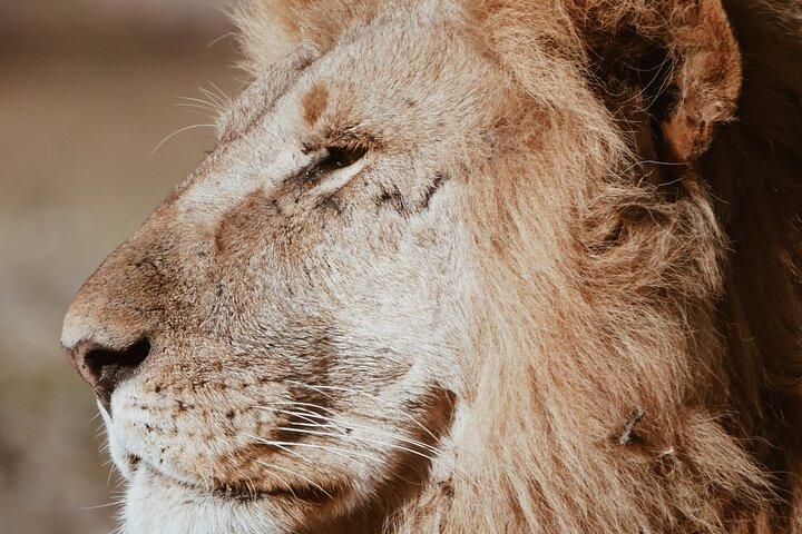 Three Days Ngorongoro crater, Lake Manyara and Taragire National Park (Joining)