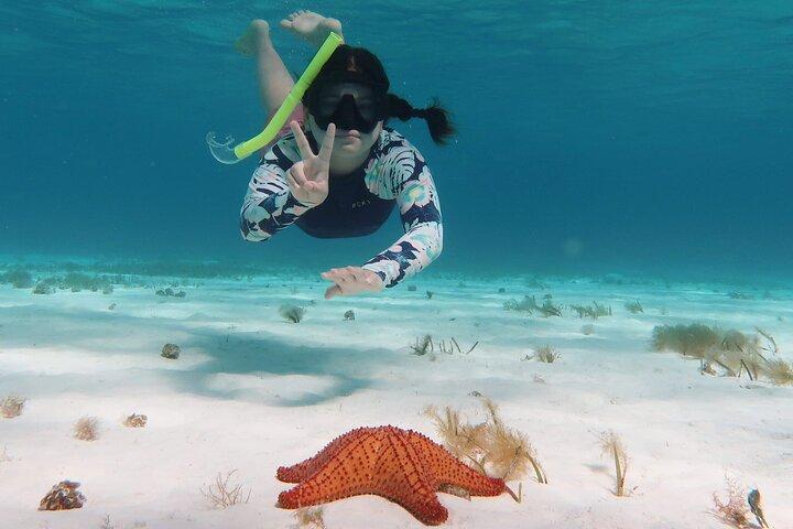 Underwater Snorkel Experience day in Cozumel with Transportation from Cancún