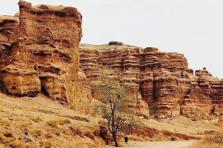Private Tour to Charyn Canyons