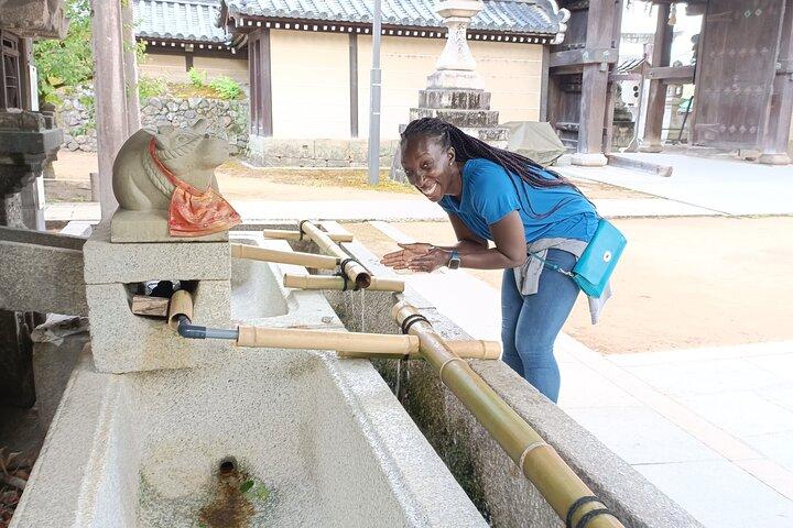 Full-Day Sightseeing to Kyoto Highlights