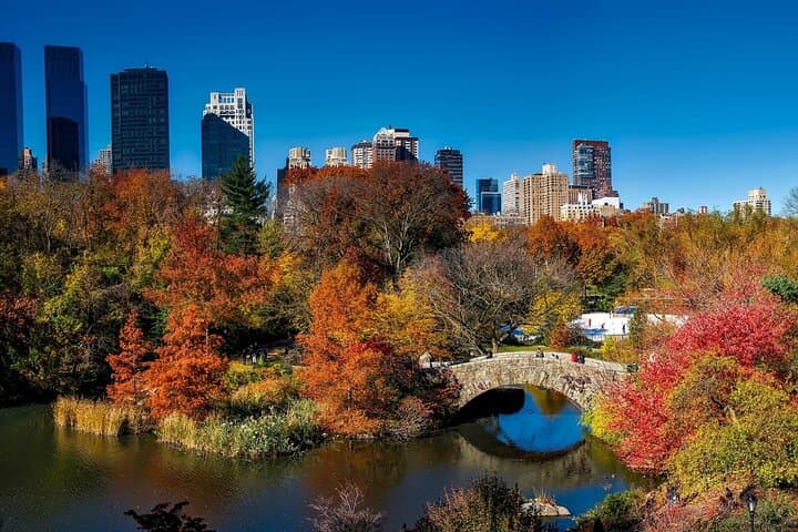 NYC Central Park Scavenger Hunt & Self-Guided Walking Tour