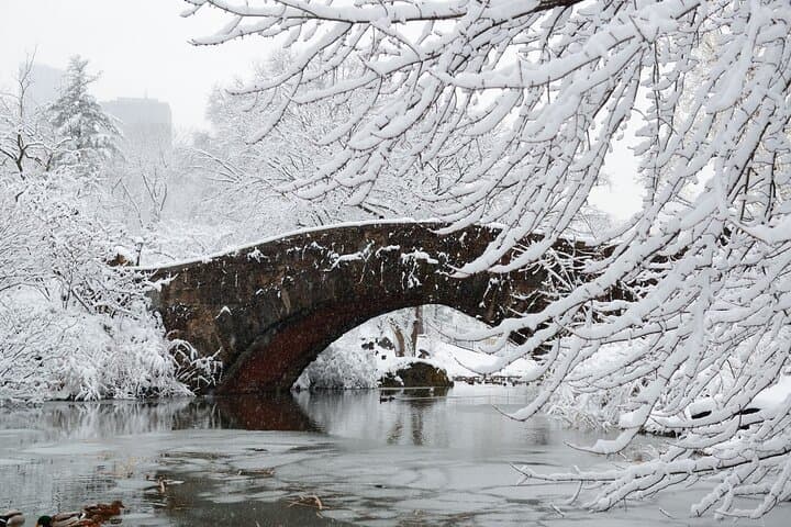 NYC Central Park Scavenger Hunt & Self-Guided Walking Tour