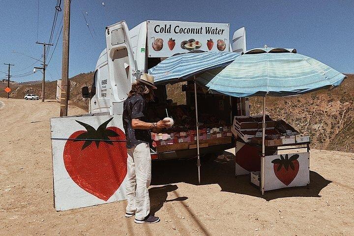 Vintage VW Hippie Shared Tour to Malibu with Wine Tasting