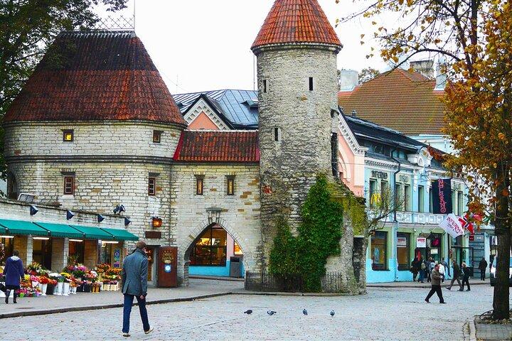 Tallinn Scavenger Hunt & Highlights Self-Guided Walking Tour