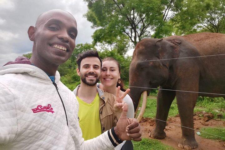 Paradise Ella Day/OneWay Tourvisit or without(Udawalawe/Yala)Tour