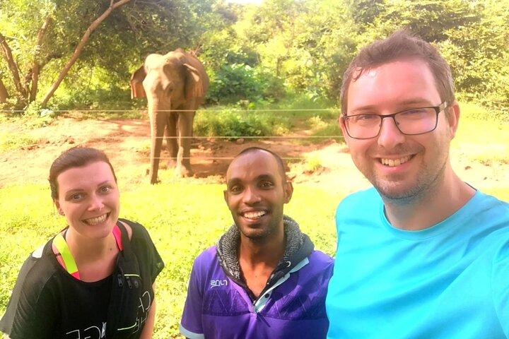 Paradise Ella Day/OneWay Tourvisit or without(Udawalawe/Yala)Tour