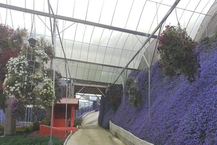 Cameron Highlands Multi Days Tour