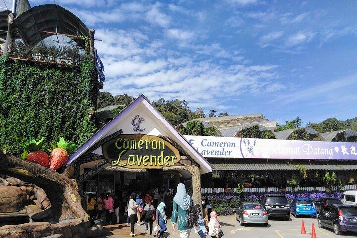 Cameron Highlands Multi Days Tour