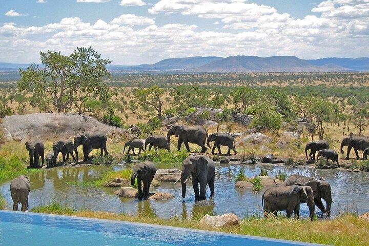 4 Day Garden Route tour from Cape Town + Addo National Park