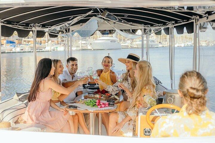 Private E-Boat Cruise: Wine, Charcuterie and Sea Lion Spotting