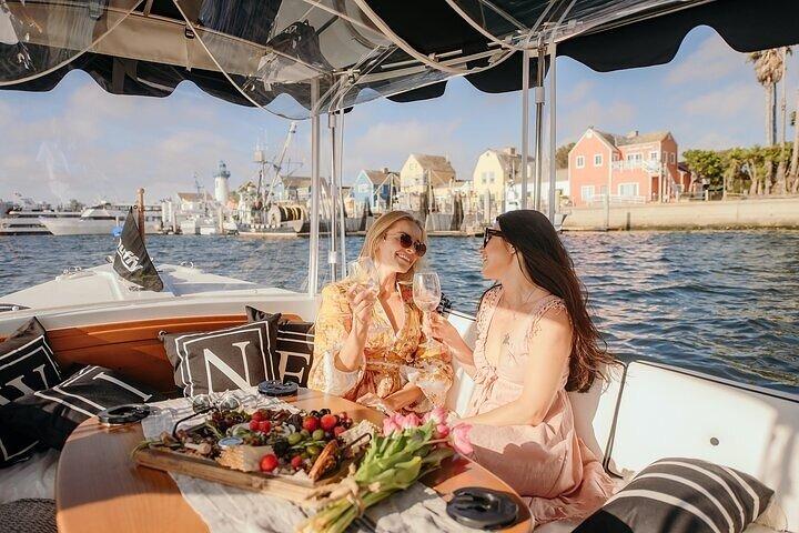 Private E-Boat Cruise: Wine, Charcuterie and Sea Lion Spotting