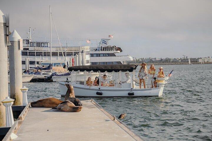 Private E-Boat Cruise: Wine, Charcuterie and Sea Lion Spotting