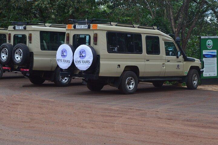 6 Days Safari : Manyara, Ngorongoro, Serengeti & Tarangire National Park