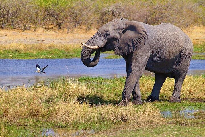 6 Days Safari : Manyara, Ngorongoro, Serengeti & Tarangire National Park