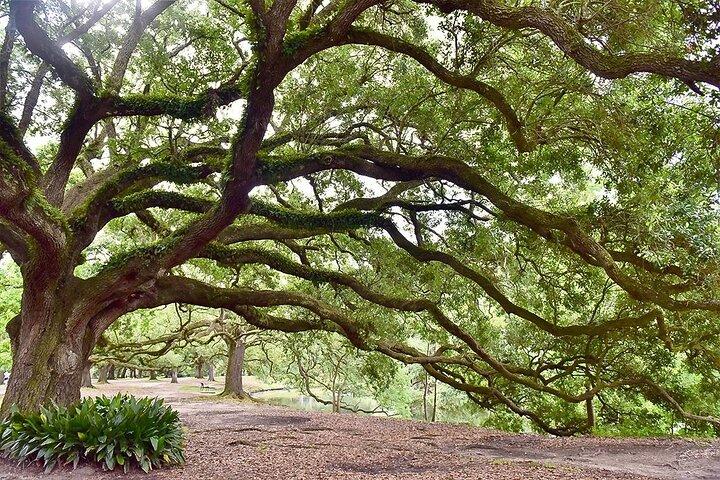 NOLA's BIG 4 PRIVATE CITY TOUR - NO GHOST, ONLY FACTS!