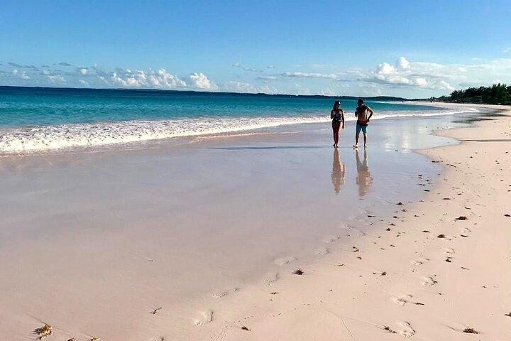 Pink Sand Beach and Swimming Pigs Adventure from Nassau