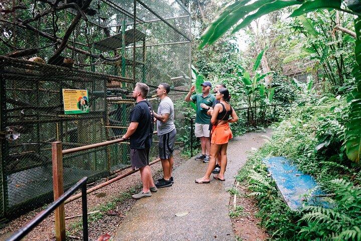 KSTR Re-Wilding Center Manuel Antonio (Sloth/Primate Park)