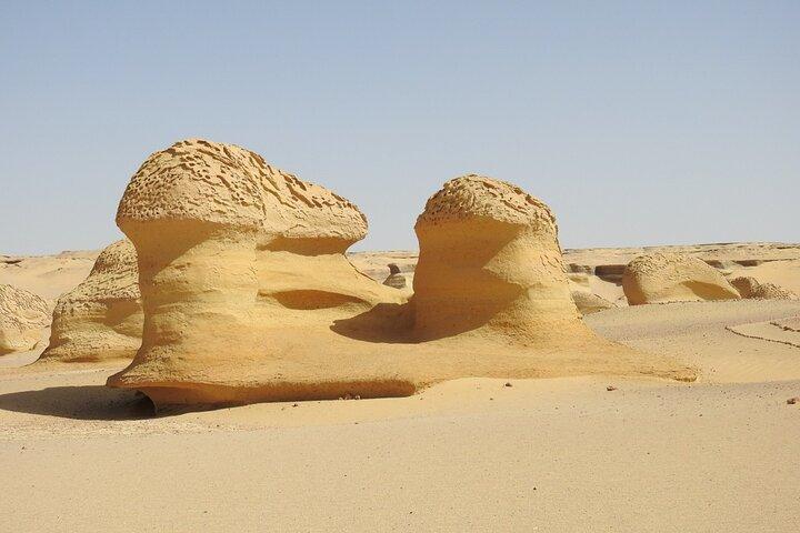 Full Day Fayoum Oasis and Waterfalls of Wadi El-Rayan