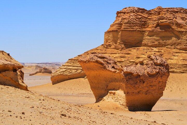 Full Day Fayoum Oasis and Waterfalls of Wadi El-Rayan