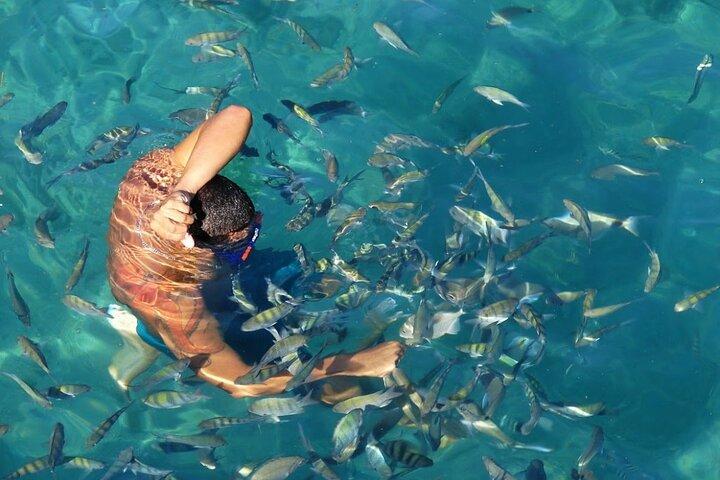 Day Tour to Angra dos Reis and Ilha Grande