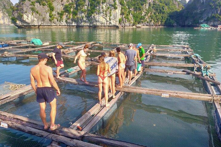 From Ha Noi/Cat Ba: Full-Day Cruise to Lan Ha bay - Ha Long Bay