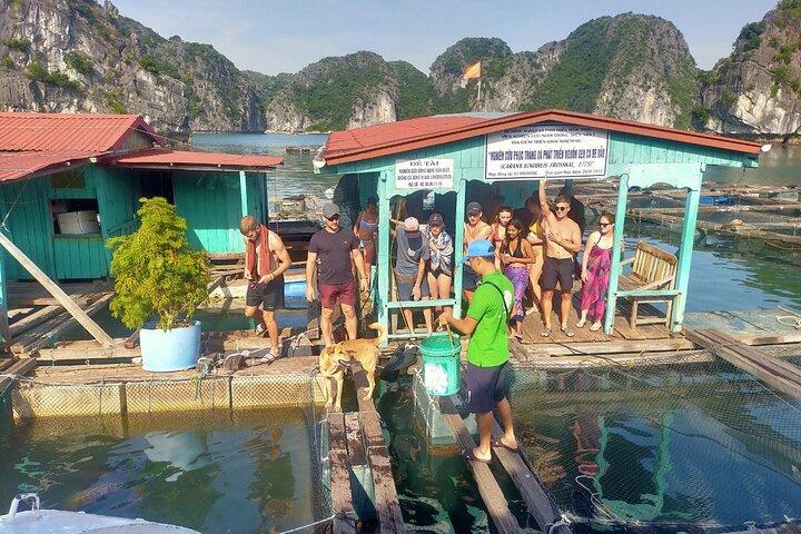 From Ha Noi/Cat Ba: Full-Day Cruise to Lan Ha bay - Ha Long Bay