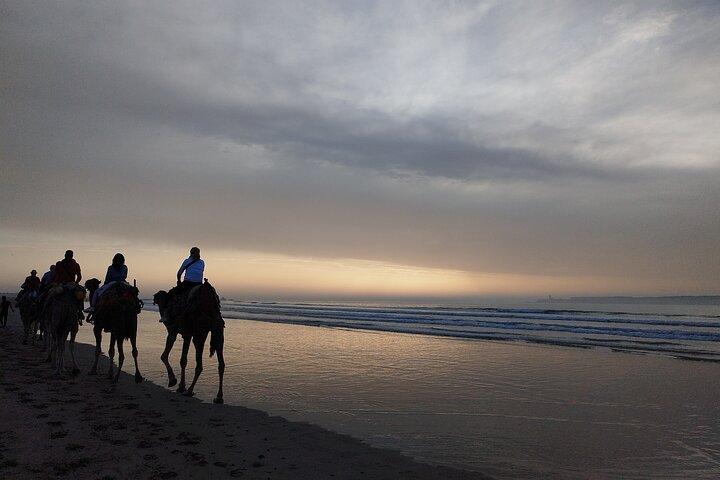 Essaouira Private Full Day Trip From Marrakech