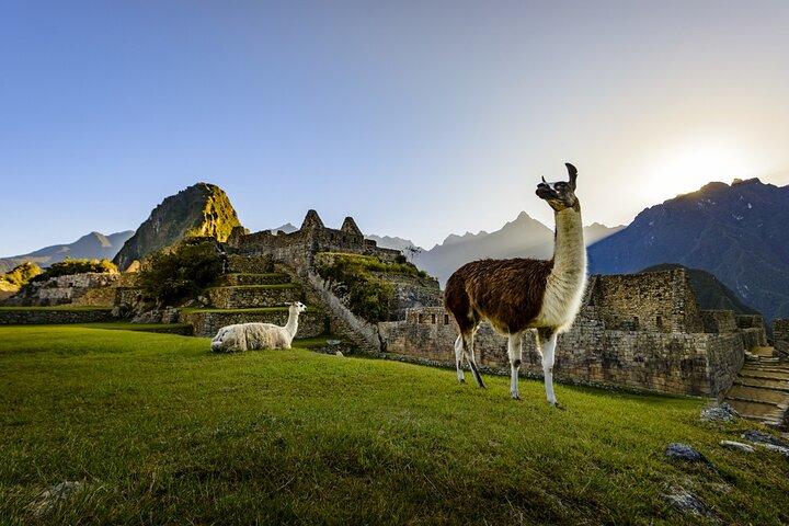 Machu Picchu full day trip from Cusco
