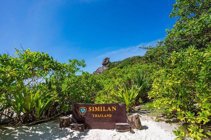 Phuket to Similan Islands Snorkeling Tour