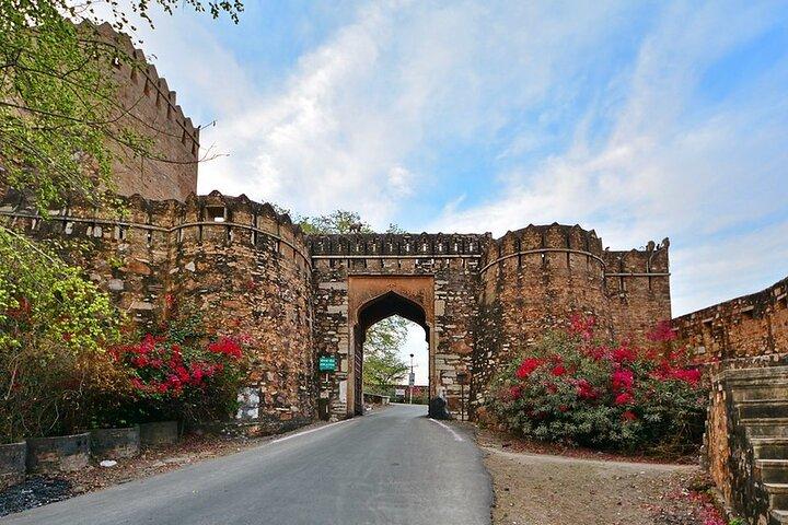 Private Day Trip to Chittorgarh from Udaipur with Guide Option