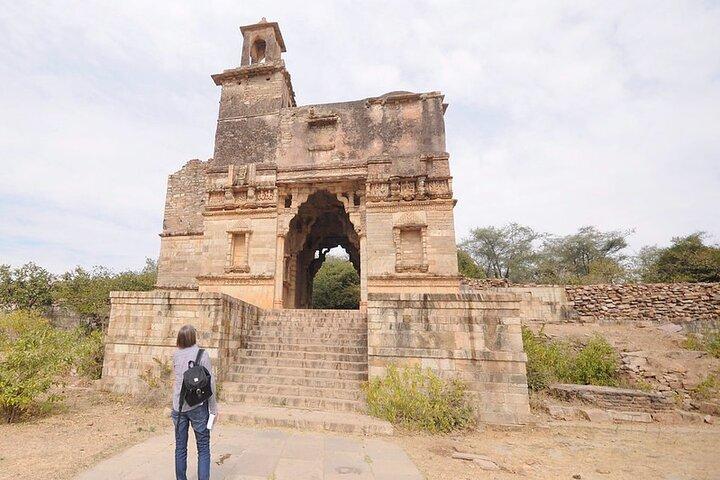 Private Day Trip to Chittorgarh from Udaipur with Guide Option