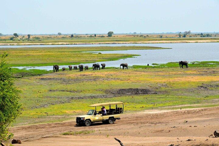 Full-Day Chobe Safari from Victoria Falls with Lunch