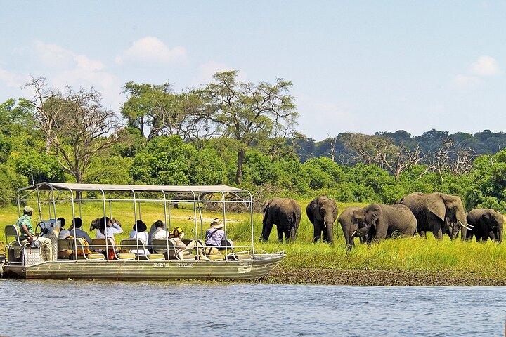 Full-Day Chobe Safari from Victoria Falls with Lunch