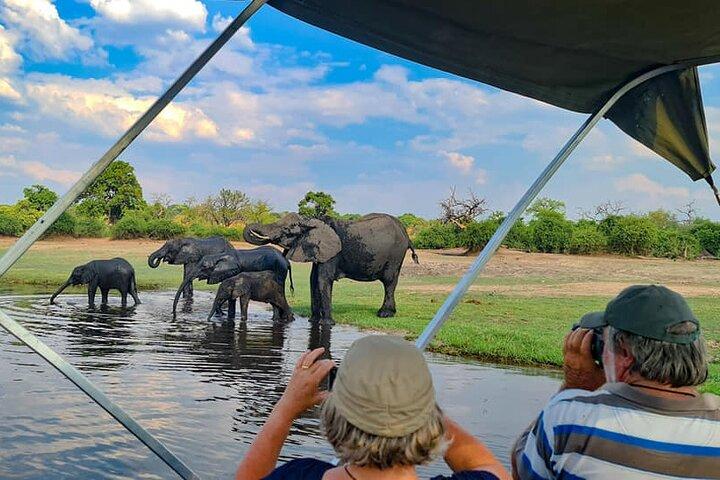 Full-Day Chobe Safari from Victoria Falls with Lunch