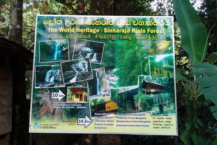 Sinharaja Rainforest & Udawalawe Safari - 2 Days, All Inclusive