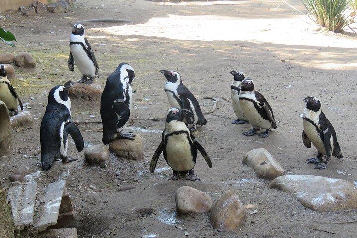 Skip the Line: World of Birds Admission Ticket