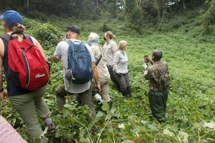 3 Days Bwindi Gorilla Trekking tour