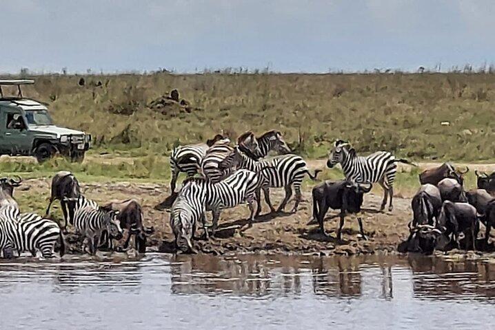 Tanzania Wildlife Safari Budget Camping