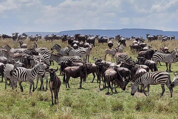 Tanzania Wildlife Safari Budget Camping