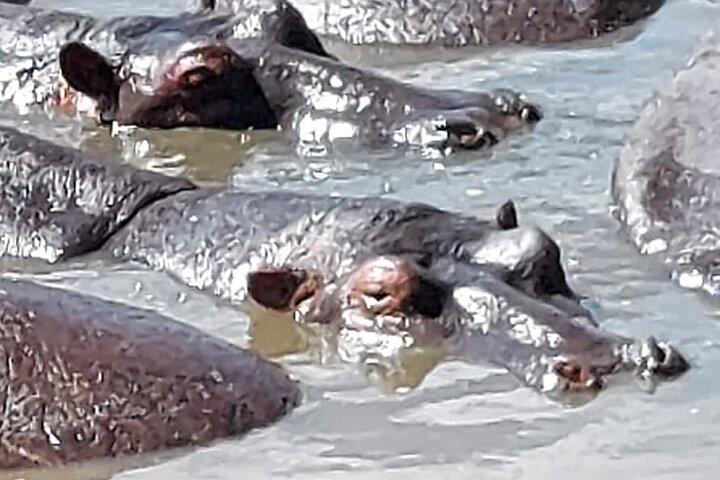 Tanzania Wildlife Safari Budget Camping