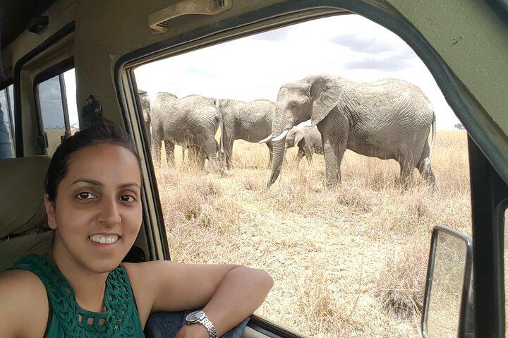 3-Day Private budget safari