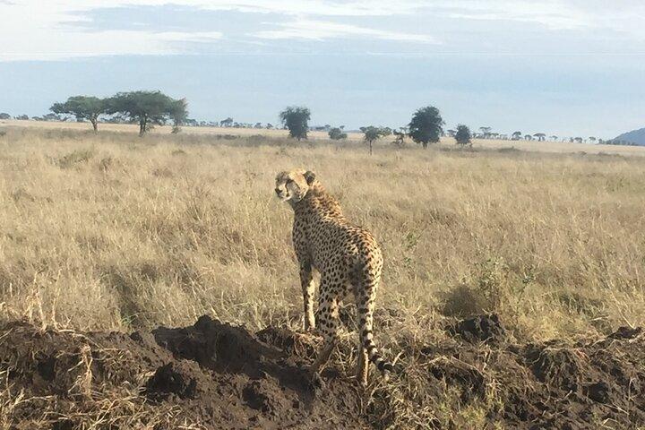 3-Day Private budget safari