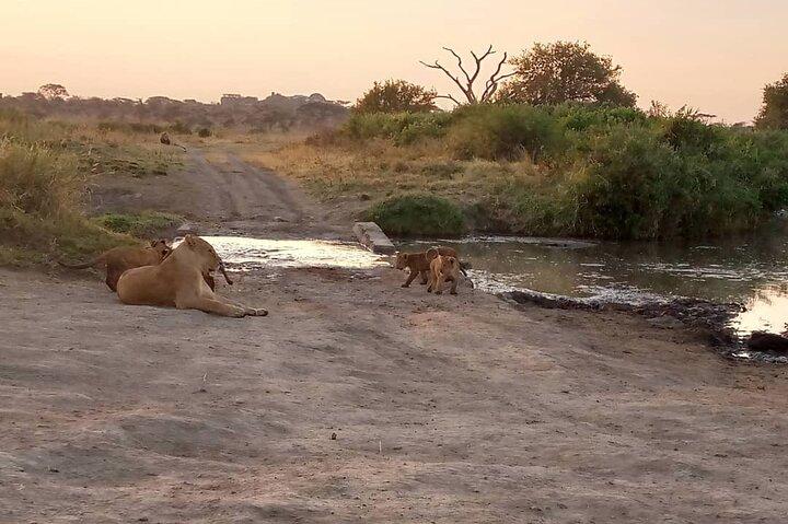 3-Day Private budget safari